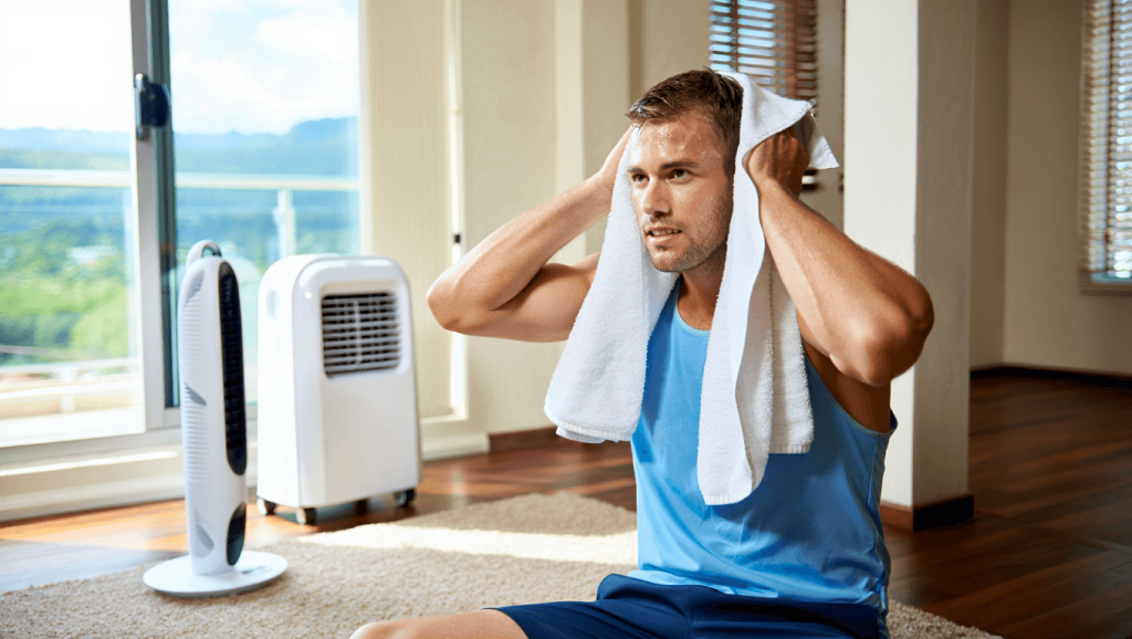Whisper Flex Smart Fan