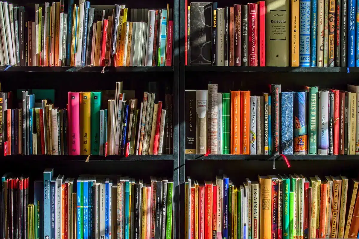 Rayon de librairie avec mangas et éditions étrangères