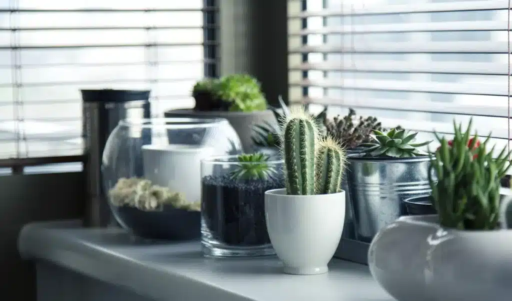 Aspirateur robot Tapo: désormais à moins de 200 £ grâce à une promo exclusive Robot aspirateur générique près d'une station compacte sur un sol domestique