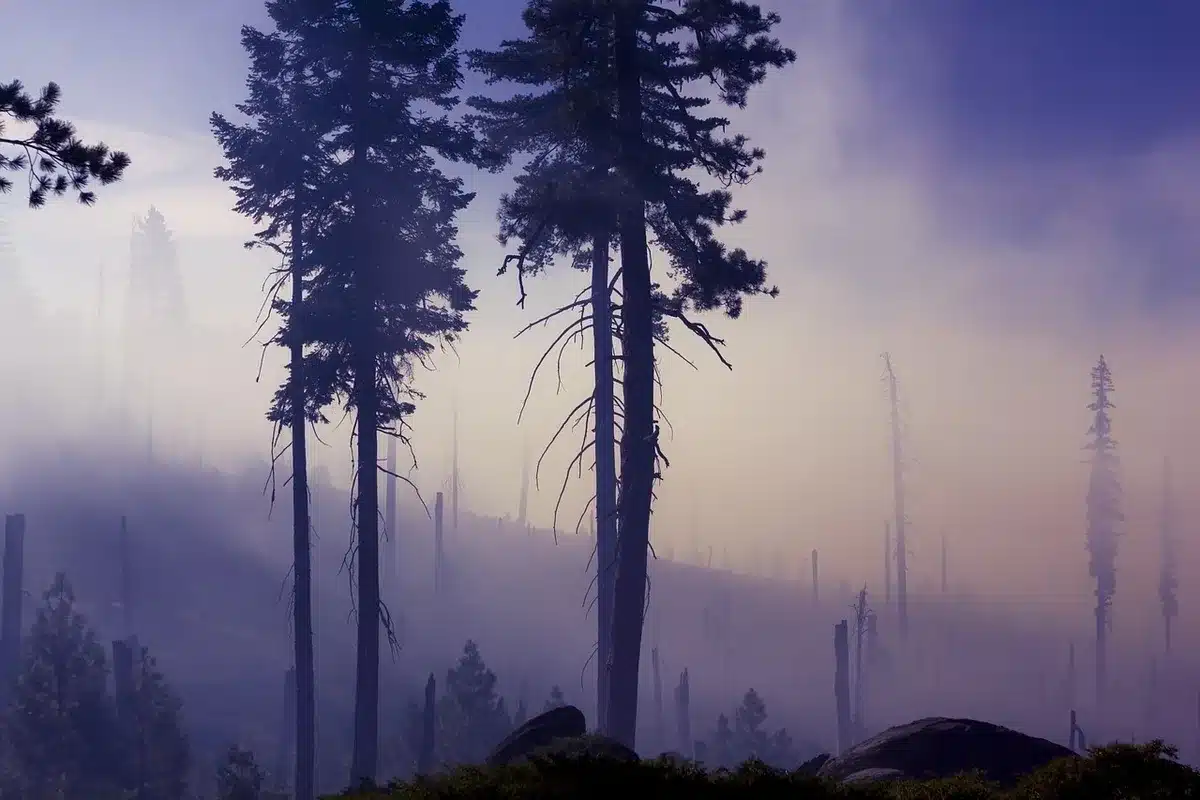 Paysage d'île brumeuse évoquant une ambiance de jeu d'horreur des années 1990